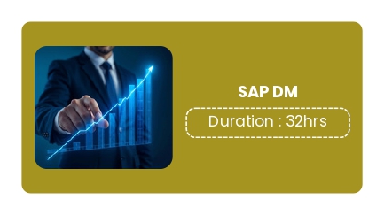 SAP DIGITAL MANUFACTURING (SAP DM)