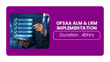 OFSAA ALM & LRM IMPLEMENTATION