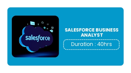 SALESFORCE BUSINESS ANALYST