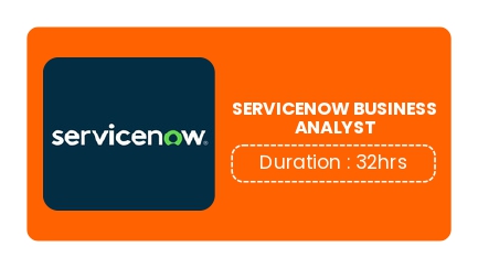 SERVICENOW BUSINESS ANALYST