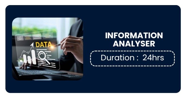 INFORMATION ANALYSER