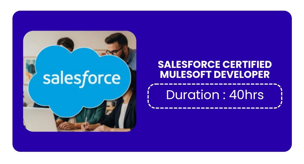 SALESFORCE CERTIFIED MULESOFT DEVELOPER