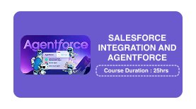 SALESFORCE INTEGRATION AND AGENTFORCE