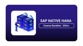 SAP NATIVE HANA