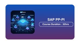 SAP PP-PI