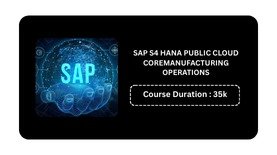 SAP S/4HANA  PUBLIC CLOUD CORE MANUFACTURING OPERATIONS