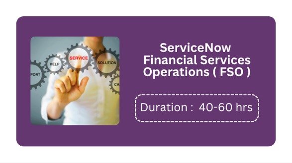 SERVICENOW FINANCIAL SERVICES OPERATIONS (FSO)