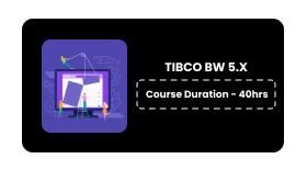 TIBCO BW 5.X