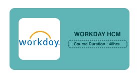 WORKDAY HCM