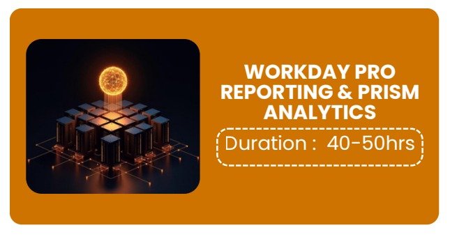 WORKDAY PRO REPORTING & PRISM ANALYTICS