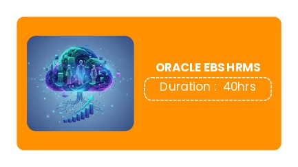 ORACLE E-BUSINESS SUITE HUMAN RESOURCES (EBS HRMS)