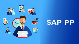 SAP PP Training in Pune