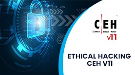 ethical hacking online training