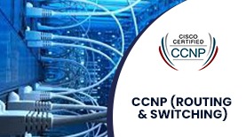 CCNP (ROUTING & SWITCHING) ONLINE TRAINING