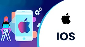 IOS ONLINE TRAINING