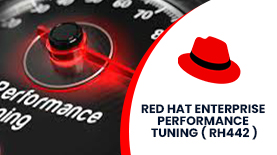 RED HAT ENTERPRISE PERFORMANCE TUNING ( RH442 ) ONLINE TRAINING