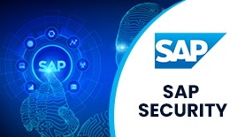 SAP SECURITY ONLINE TRAINING