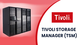 TIVOLI STORAGE MANAGER (TSM) ONLINE TRAINING