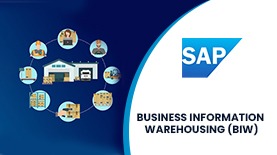 BUSINESS INFORMATION WAREHOUSING (BIW) ONLINE TRAINING