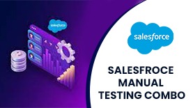 SALESFROCE MANUAL TESTING COMBO ONLINE TRAINING