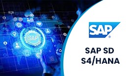 SAP SD S/4 HANA ONLINE TRAINING