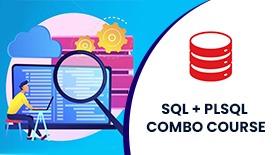 SQL + PLSQL COMBO COURSE ONLINE TRAINING