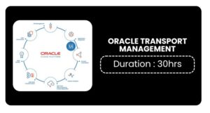 Oracle Transport Management Training In Pune Online
