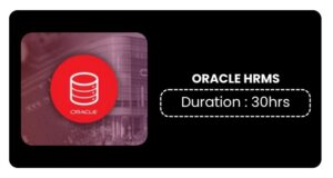 Oracle Hrms Training In Pune Online