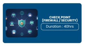 CHECKPOINT Training In Pune Online