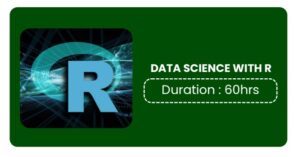 Data Science Training In Pune Online