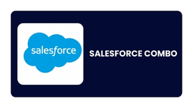 Salesforce Combo Training in Pune