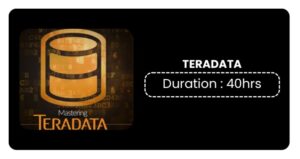 Tera Data Training In Pune Online