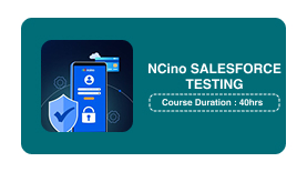 NCino Salesforce Testing Training in Pune Online