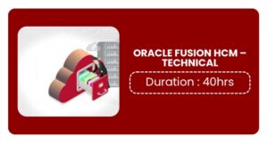 Oracle Fusion Hcm Functional Training In Pune Online