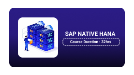 Sap Native Hana Training in Pune Online