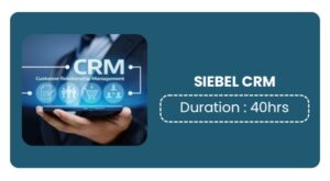 SIEBEL CRM Training In Pune Online