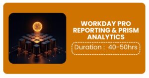 Workday Pro Reporting & Prism Analytics Training In Pune