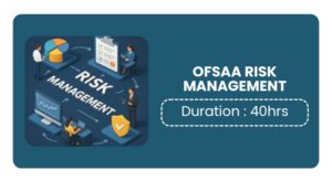 Ofsaa Risk Management Training In Pune Online