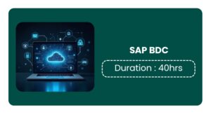 Sap Business Data Cloud (bdc) Training In Pune Online