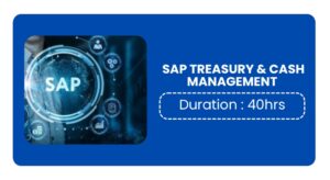 Sap Treasury & Cash Management Training In Pune