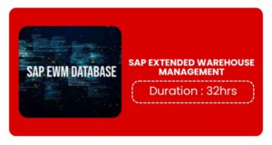 Sap Extended Warehouse Management Training In Pune