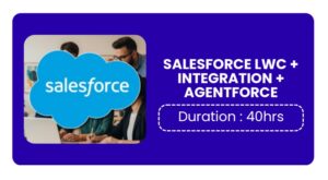 Salesforce Lwc + Integration + Agentforce Training In Pune