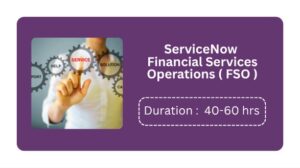 Servicenow Financial Services Operations (fso) Training In Pune Online