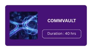 Commvault Training In Pune Online