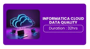 Informatica Cloud Data Quality Training In Pune Online