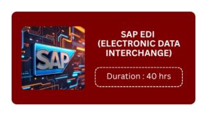 Sap Edi (electronic Data Interchange) Training In Pune Online