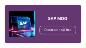 Sap Mdg Training In Pune