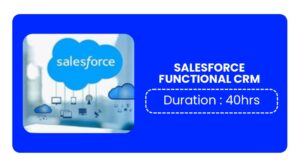 Salesforce Functional Crm Training In Pune Online