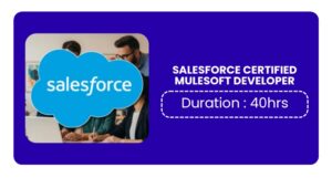 Salesforce Certified Mulesoft Developer Training In Pune Online