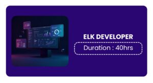 Elk Developer Training In Pune Online